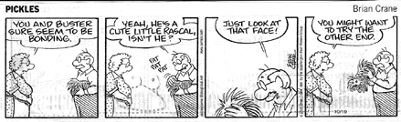Scan of Pickles comic strip from 2005-10-19