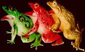 Froggy Orgy